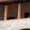 Morimondo e Vigevano 12-05-2019