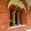 Morimondo e Vigevano 12-05-2019