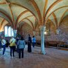 Morimondo e Vigevano 12-05-2019